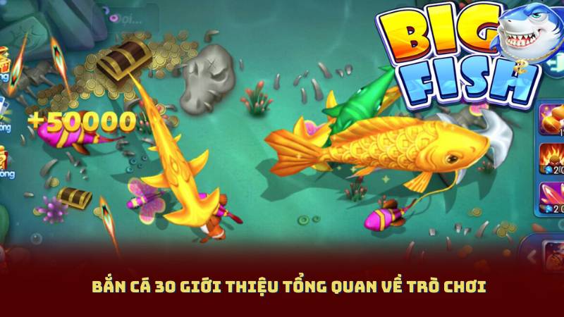 Bắn Cá 30 Giới Thiệu Tổng Quan Về Trò Chơi